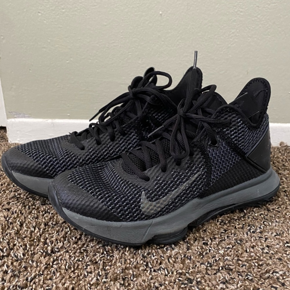 Nike Colab Lebron basketball shoes with lion